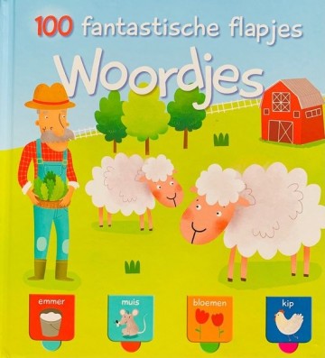 100 fantastische flapjes   woordjes