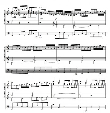 Jong, Peter C. de - Psalmen gespiegeld aan Bach (4)