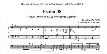 Jong, Peter C. de - Psalmen gespiegeld aan Bach (1)