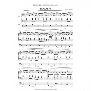 Uitbeijerse, Arjen - Psalmvoorspelen met koraal