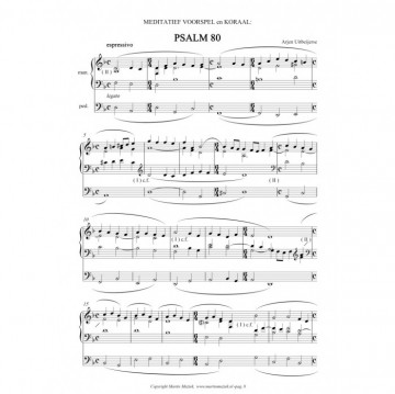 Uitbeijerse, Arjen - Psalmvoorspelen met koraal