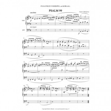 Uitbeijerse, Arjen - Psalmvoorspelen met koraal