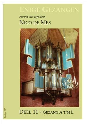Mes, Nico de - De Enige Gezangen