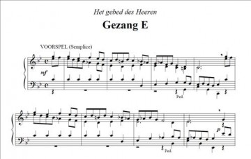 Mes, Nico de - De Enige Gezangen