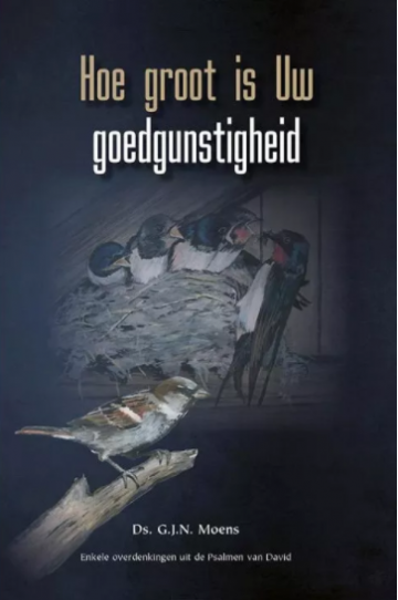 2020 11 16 142236 hoe groot is uw goedgunstigheid   9789461151872