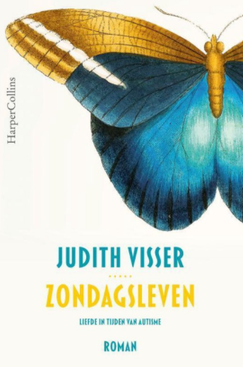 2020 11 30 135940 bolcom  zondagsleven judith visser  9789402706413  boeken