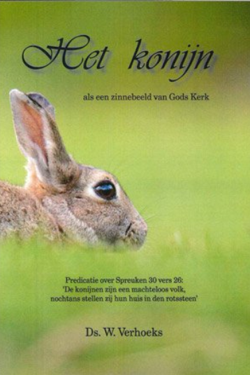 2020 12 07 124010 het konijn als een zinnebeeld van gods kerk   9789057412011