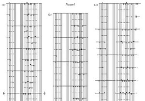 Verkamman, Lenard - Rondom de eredienst (5) (Klavar)