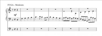 Veen, Evert van de - Wij willen Holland houen