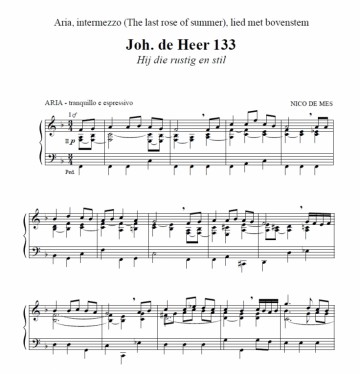 Mes, Nico de - Rust en stilte