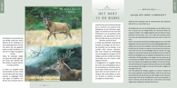 Henry, Matthew / R. Hoogerwerf-Holleman - Al 't schepsel moet Hem prijzen