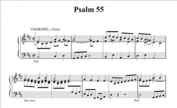 Mes, Nico de - 150 Psalmen deel 4 (46-60)