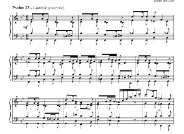 Teeuw, Jan Peter - 25 Psalmvoorspelen (2)