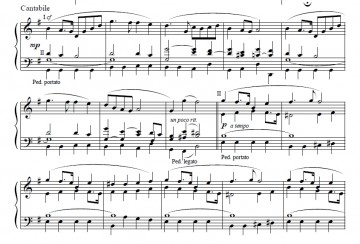 Mes, Nico de - Herinneringsbundel Johan de Heer