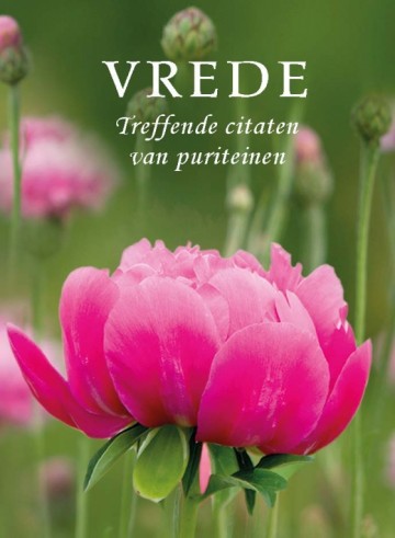 Serie 'Pareltjes' - Vrede
