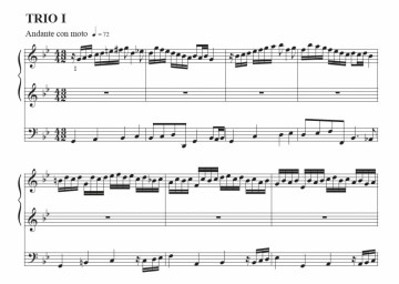 Sanderman, Dick - De Lofzang van Maria