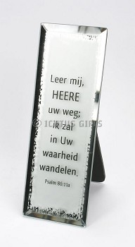 Tekstspiegel 5x14cm leer mij HEERE uw weg (SV)