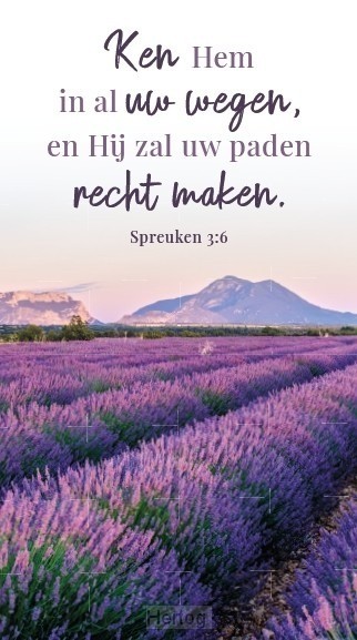 65501623 magneet boekenlegger ken hem in al uw wegen en hij zal uw paden recht maken