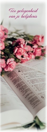 65508133 1 boekenlegger ter gelegenheid van je belijdenis 65508133