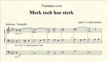 Brink, Kees van den - Merck toch hoe sterck