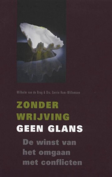 9789043514453 brug wilhelm van de gerrie willemsen   zonder wrijving geen glans 97890435144539789043514453