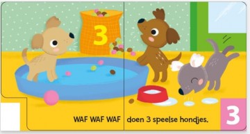 9789044752502 mijn eerste telboek inhoud