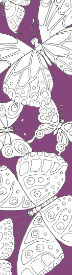 9789044766073 de mooiste boekenlegger om in te kleuren vlinders 9789044766073back