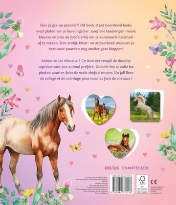 9789044771176 dream horses sticker parade 9789044771176 back