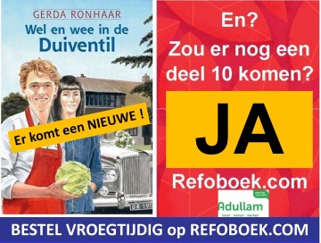 9789059524606 vallen en opstaan in de duiventil gerda ronhaar 9789059524606