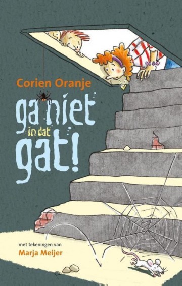 9789085433026 oranje corien   ga niet in dat gat 9789085433026