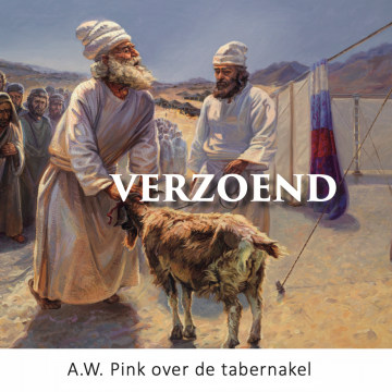 9789490165642 aw pink verzoend 9789490165642