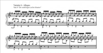 Slagman, Dick - Koraalbewerkingen (2)