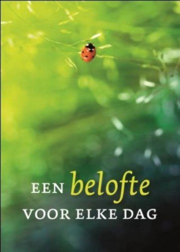 Belofte voor elke