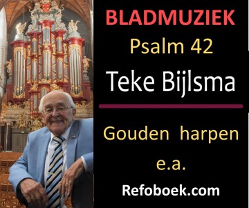 Bijlsma teke