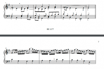 Bijster lijdenstijd 1