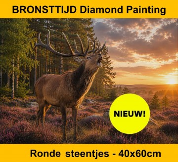 Bronsttijd diamond painting rond round diamond