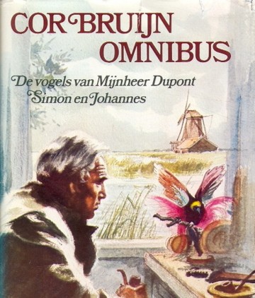 Bruijn front