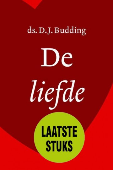 Budding de liefde