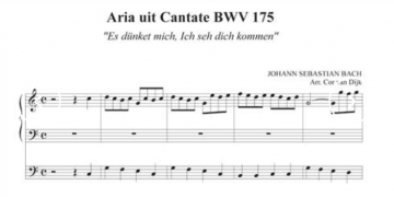 Cor van dijk bach 2d