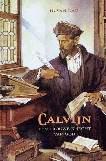Dam calvijn