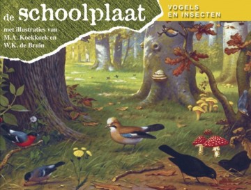 De schoolplaat vogels en insecten