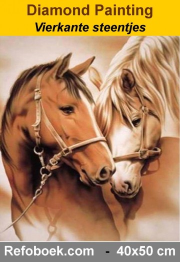 Diamond paarden