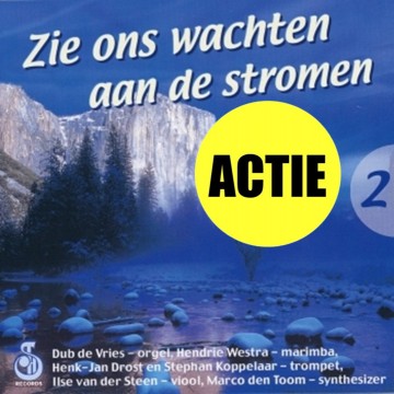 Dub de vries marco den toom hendrie westra zie ons wachten aan de stromen deel 2