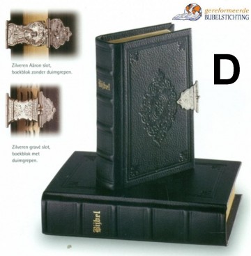 Gbsa zilveren slot d