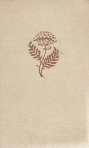 Geliefde zoon   front