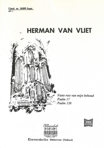 Herman van vliet 17 138 vaste rots