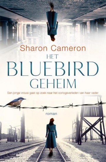 Het bluebird geheim