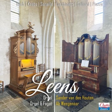 Houten leens