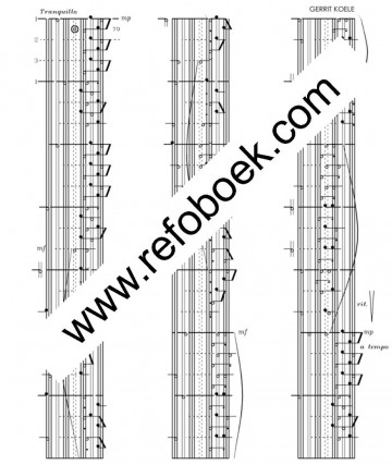 Koele op weg naar bethlehem vb