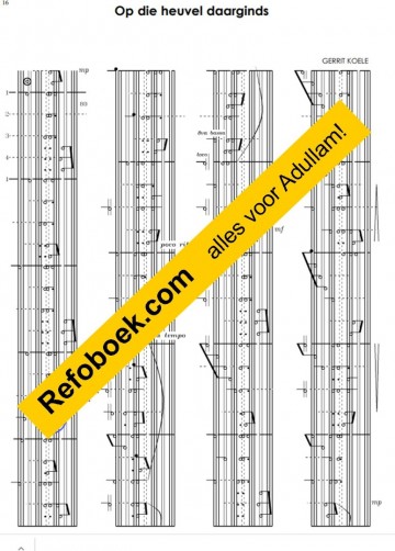 Koele piano passie vb